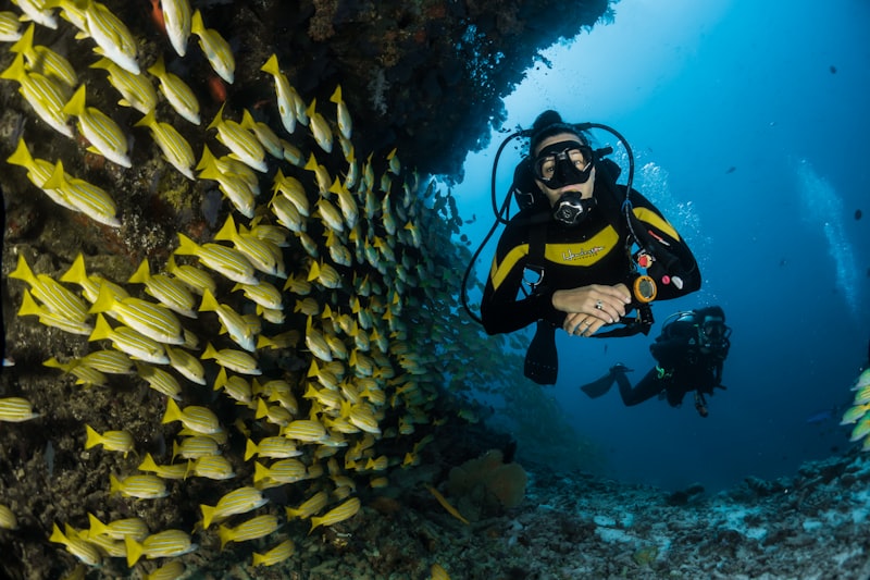 Snorkeling and Diving