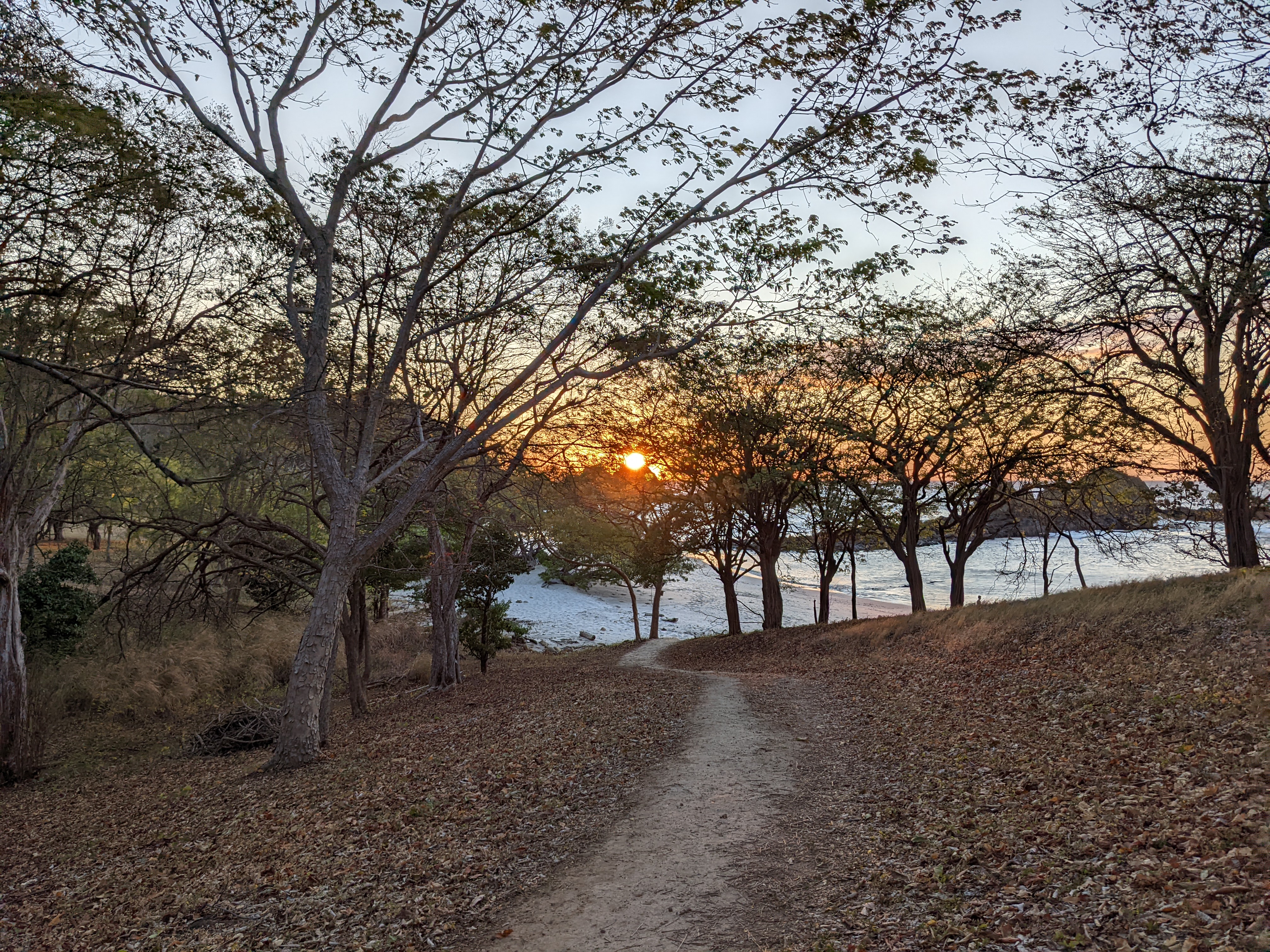 Sendero a la playa al atardecer