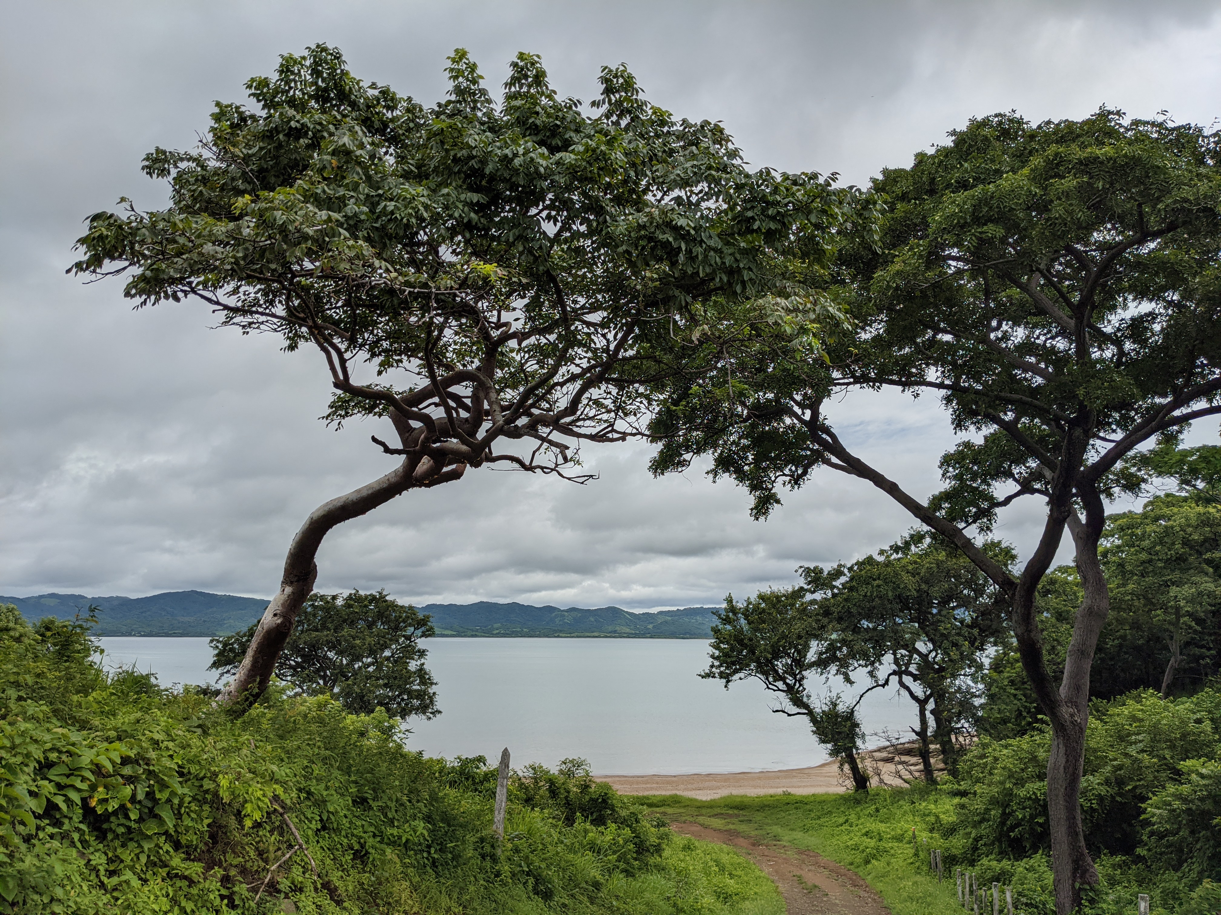 Estuario y naturaleza