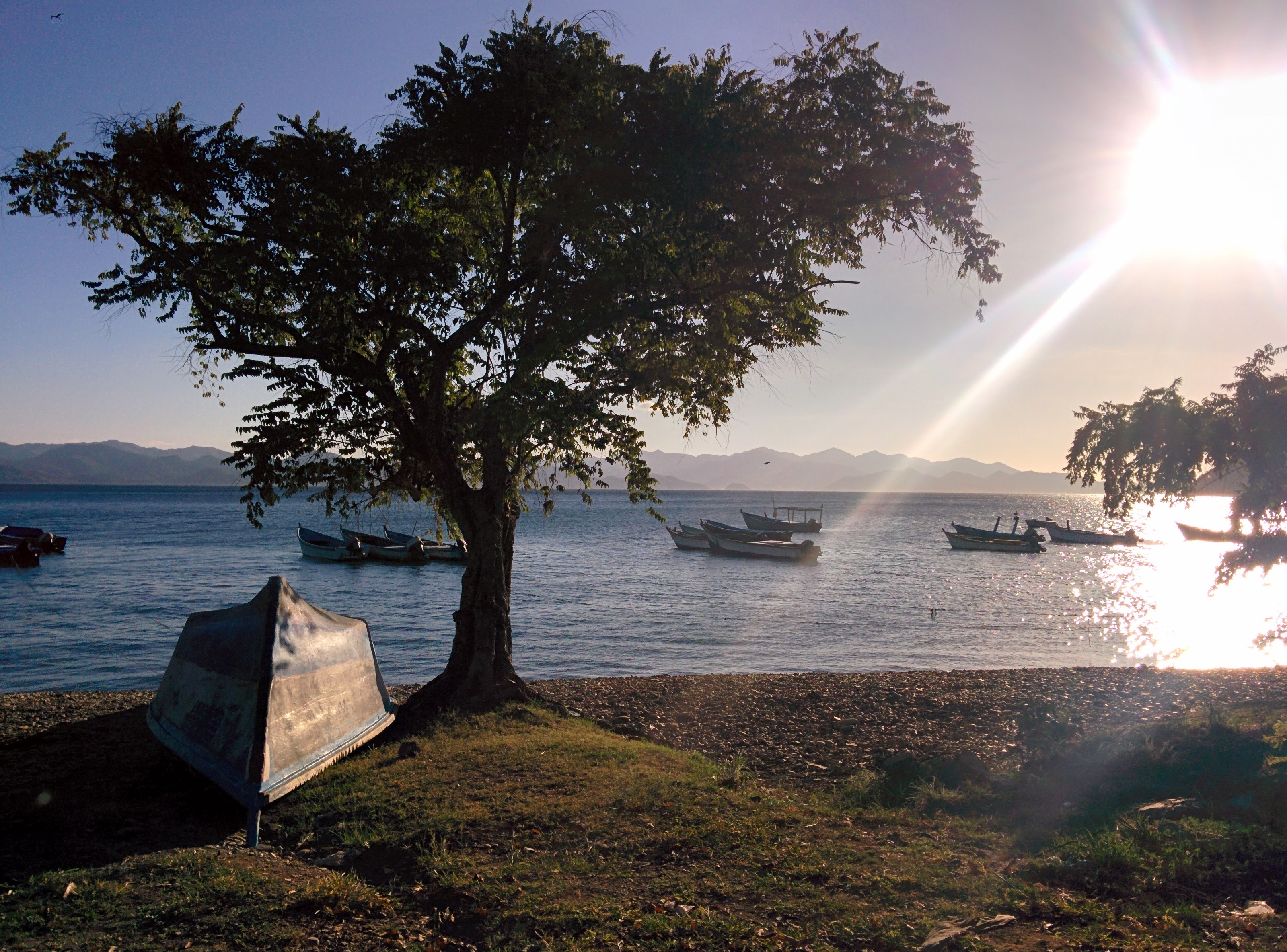 Botes de pesca en la bahía