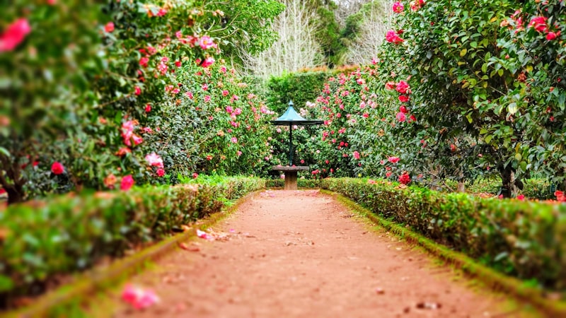 Garden pathway
